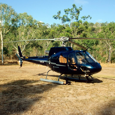 Helicopter tours of the island