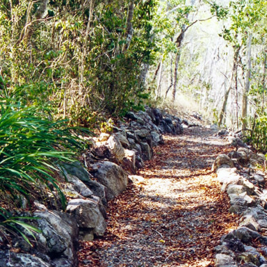 Discover the island walking trails