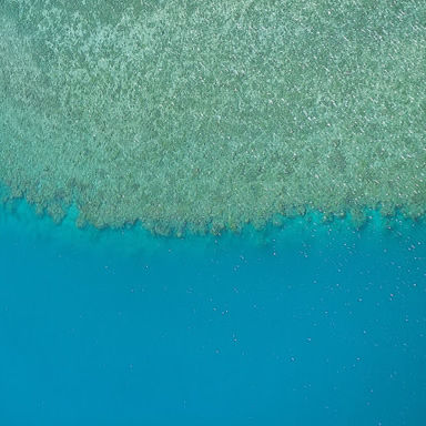 Scuba dive in the Great Barrier Reef